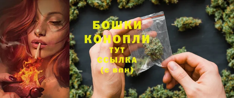 Бошки Шишки Ganja  где купить   Яровое 